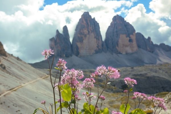 Dolomites with kids cover image: Drei Zinnen Mountains in summer