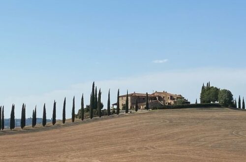 Tuscany view with cypress trees