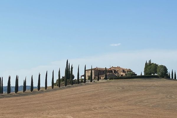 Tuscany view with cypress trees