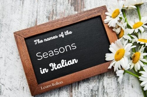 blackboard with writing: the names of the seasons in Italian, with daisies
