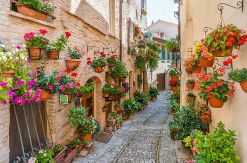 pretty street in Spello Umbra with flowers