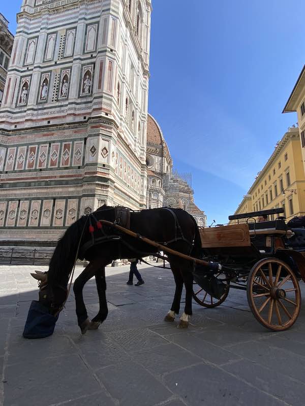 family tour firenze