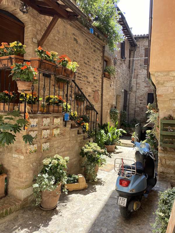 Flower alley in Spello Italy