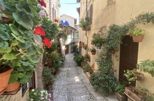blooming alley in Spello italy