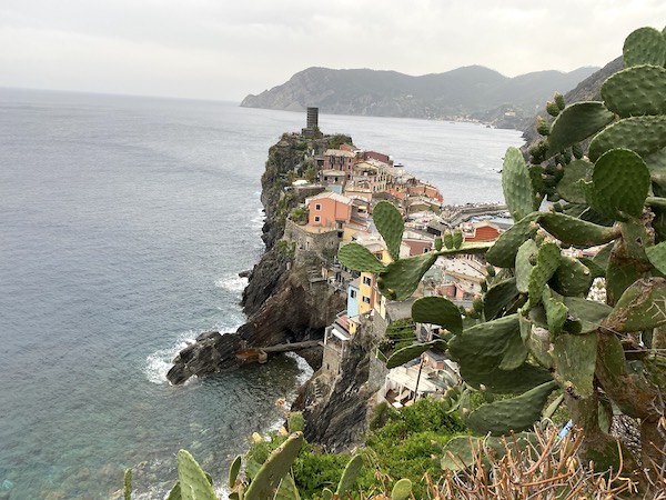 View of Vernazza with cacti plant in the foreground