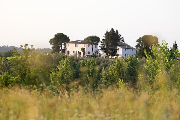 Tenuta Chiudendone estate