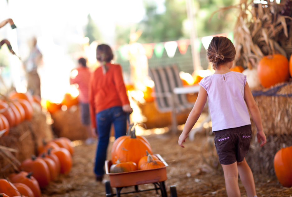 little girls at pumpkins patch